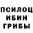 Галлюциногенные грибы мицелий Tina Erardi